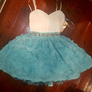 HOCO!!! Trixxi 3D rosette ivory blue green party dress 2 3